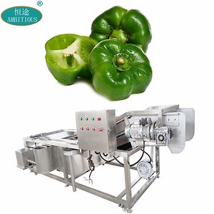 [Hot Item] Commerical 380V Bell Pepper Chilli Bubble Washer and Cleaner Washing Machine