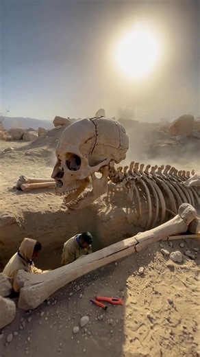 4.6K views | Scientists Stunned After Discovering Massive Humanoid Fossil in Remote Desert . . #Breaking #news | ASMR.com | Facebook