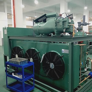 [Hot Item] Refrigeration Part Equipment Condensing Unit for Cold Storage Room Freezer