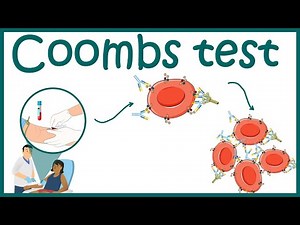 Coombs Test || Antiglobulin Test || Direct Coombs test and indirect Coombs test