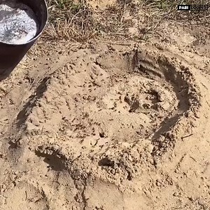 4.2K views · 77 reactions | Empress pee on Reels | Facebook