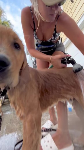 Part 1 ｜ Mauis nightime routine. It takes a lot of energy swimming away from the kook float all day | Maui.Goldenboy