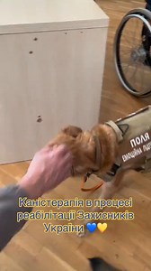 34K views · 2.2K reactions | Dogs are helping our defenders in their rehabilitation | In Ukraine | Facebook