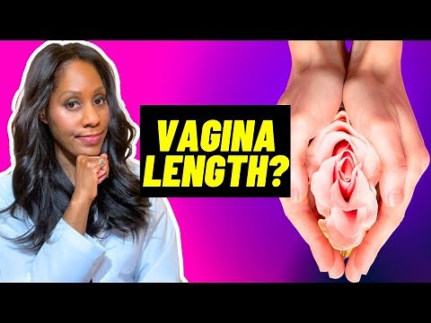 HOW LONG IS THE AVERAGE VAGINA? A Doctor Explains