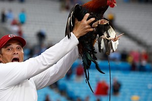 Despite Leading The Vote, South Carolina Spurns 'Cock Commander' as Nickname For Live Mascot