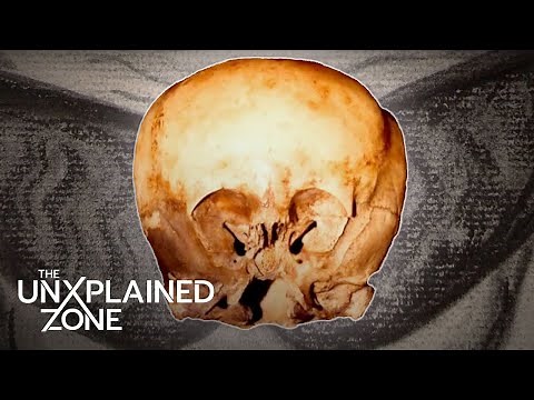 Is the Starchild Skull of Extraterrestrial Origin? | UFO Hunters | The UnXplained Zone