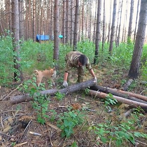 Bushcraft Lover on Reels
