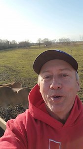 24 reactions | Crocodile Encounter on Reels | Facebook