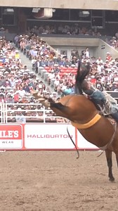 The Canadian Finals Rodeo starts tonight! As the proud presenting sponsor of the Bareback Riding at CFR50, we are excited to invite Stampede fans to get their rodeo (and Stampede bucking horse!) fix in Edmonton this week! Don't miss out! Tickets for the Canadians Finals Rodeo are on sale now! https://cfr.ca/tickets | Calgary Stampede