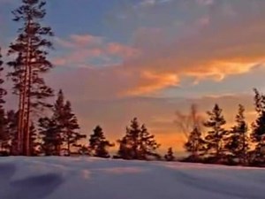 "Падает снег" Поет Нина Дилон