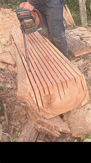 Finalizando pranchas de taboa com motosserra 585xp husqvarna #husqvarna585xp #Chama #HusqvarnaBrasil #eucalipto #istica Husqvarna Florestal Husqvarna Serrando C Irmaos Lopes | Henrique Almeida