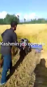 Paddy cutter #paddys | Chenab Valley Farming