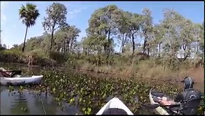 Achamos uma lagoa cheia de TRAÍRA! pescamos assamos e comemos. #fishing #pesca #pescaria | Pantanal Fishing