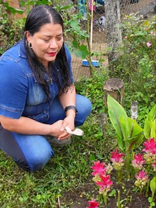 Curcuma ornamental: consejos para tener las mejores flores