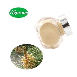 [Hot Item] Natural Free Samples Hot-Seling Broken Cell Pine Pollen Powder