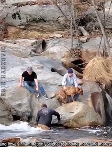 The Most Daring Rescues | Sadik Hadzovic