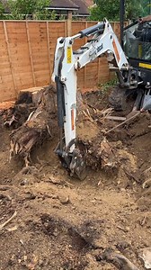 This is one stubborn tree stump! | The Bald Builders