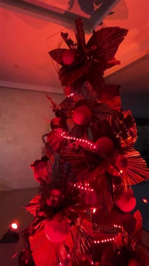 Diamond Suites Cebu lights its 2023 holiday tree AppleOne Properties gives development updates! | The Cebuano