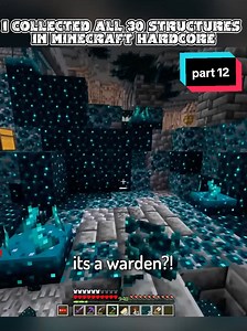 Collected All 30 Minecraft Structures in Hardcore Mode