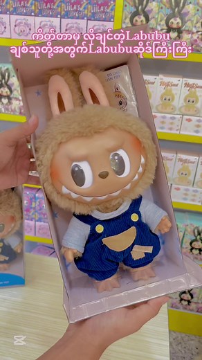 Labubu Macarons ရွေးချယ်မှု အထူးသတိပြုချက်