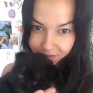 when Panther and Rottweiler Grouw up together | Lunathepantera