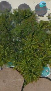 Cinnamon Dhonveli Maldives provides you with a very unique vacation experience that is bound to be adventurous, relaxing, and full of fond memories🌊✨. Looking around for your next vacation?🏝🤩 We are here to make sure that your ideal getaway remains stress-free and delightful. 😍 📩 Please contact us today so we can put together your perfect holiday! m.me/holidaytripvista 📱 8801710-806028 📱 8801888-018090 📱 8801797-991689 #cinnamondhonveli #cinnamondhonvelimaldives #luxuryresort #LuxuryReso