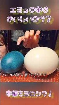 【短編】ダチョウの次はエミュー！青緑の巨大卵で目玉焼きに挑戦！#エミュー #エミューの卵 #巨大卵 #目玉焼き #珍しい食べ物 #Emu