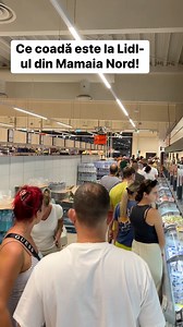 425K views · 1K reactions | Ce coada este la Lidl-ul din Mamaia Nord! #lidl #cumparaturi #coada #mamaianord #aglomeratie #piatalidl #cumparaturilidl | Aventurile omului simplu | Facebook