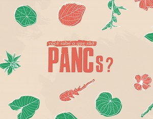 Plantiva - Motion Graphics Animation