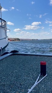 Moosehead Lake News & Information on Reels