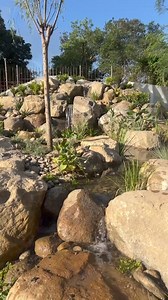 A beautiful pond and waterfalls in Hong Kong deisgned by Waterscapes Australia and built alongside two amazing CAC's: Swell Landscape Design and Symbiosis Landscapes. Together, they’ve created something beautiful that will positively impact the community and the environment. 🌿 | Recreation Ponds Australia