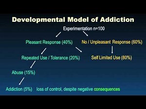 Developmental Model of Addiction