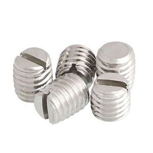 [Hot Item] Custom DIN551 Stainless Steel Grub Screws Slotted Head Cone Point Set Screw
