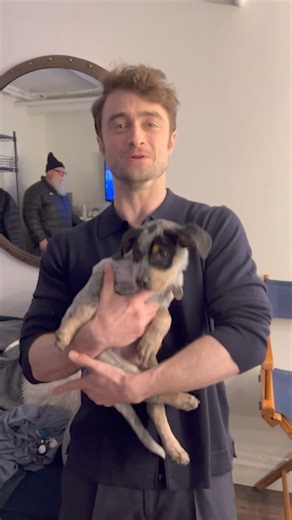 10K views · 355 reactions | We’re so excited to hear about Actor Daniel Radcliffe’s well-deserved TONY nomination!  Our furry friends are huge fans and trust us, after this, you'll be even more smitten! Thanks, Daniel! #GetYourRescueOn #80YearsofRescue #DanielRadcliffe | North Shore Animal League America | Facebook