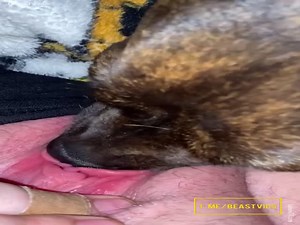 Nice lick