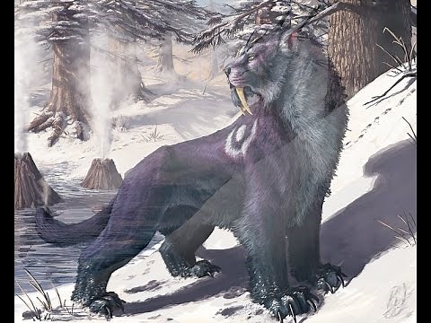 Feral Druid PvE DPS Guide 4.2. (Rotation) - 4. Part - Cataclysm