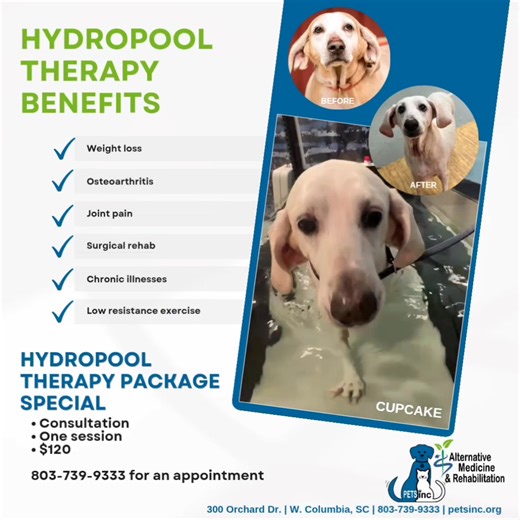 #PETSincAlternativeVetMedicine #HydropoolTherapy has many benefits for your pet! We are offering a hydro package special: • Consultation • One hydro session • $120 803-739-9333 to schedule an appointment. | PETSinc