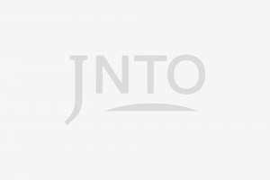 Hokkaido Tomamu | Hoshino Resort & Forest Restaurant Nininupuri