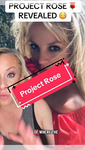 14K views · 1.3K reactions | I think with every fiber of my being that this is what Britney Spears meant by Project Rose. I can’t help but wonder if some where along the way though, that something went drastically wrong!  . . . #britneyspears #projectrose #beyonce #sarahjessicaparker #carriebradshaw | Decoding Celebrities | Facebook