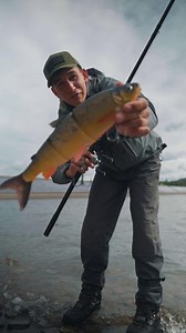 7.9K views · 56 reactions | On envoie du lourd !! ...