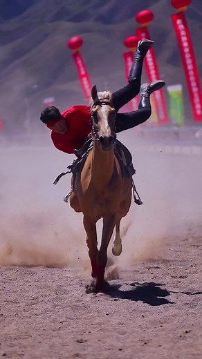 tameanimalchannel on TikTok