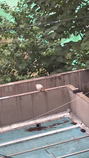 #LMAO #EpicLaughs #FunnyChuckles #TicklingFunnyBone | तुम्हारी लैला