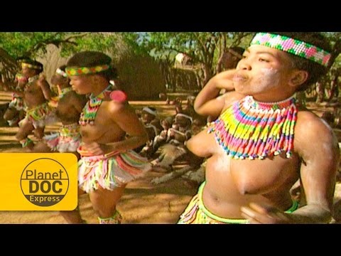 Zulu Women Dances | African Tribe