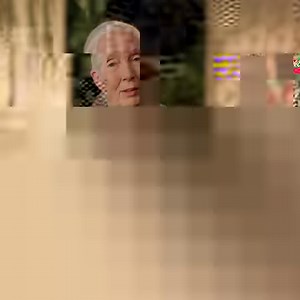 Take action this Earth Day. Learn how to make simple, everyday choices that can help protect our planet. | MasterClass