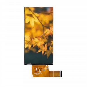 [Hot Item] 5.99 Inch TFT 1080*2160 High-Performance Long Bar Display Module