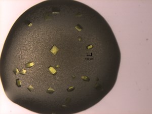 New screening method identifies new approaches to combat antimicrobial resistance