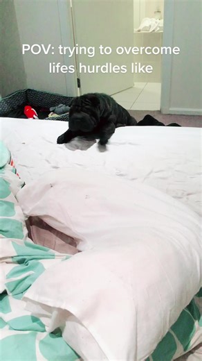 gypsy.girl on TikTok