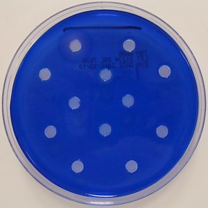 Toluidine Blue DNA Agar - Thermostable Nuclease Test
