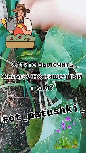 От матушки on TikTok