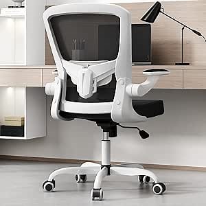 Sytas Ergonomic Mesh Office Chair, Home Office Desk Chairs Ergonomic, Adjustable Lumbar Support(White)